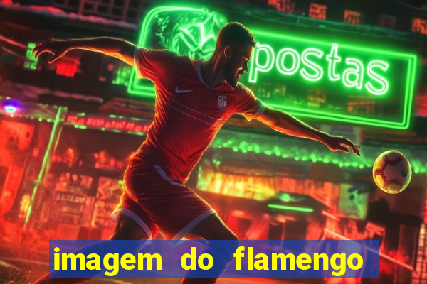 imagem do flamengo para perfil